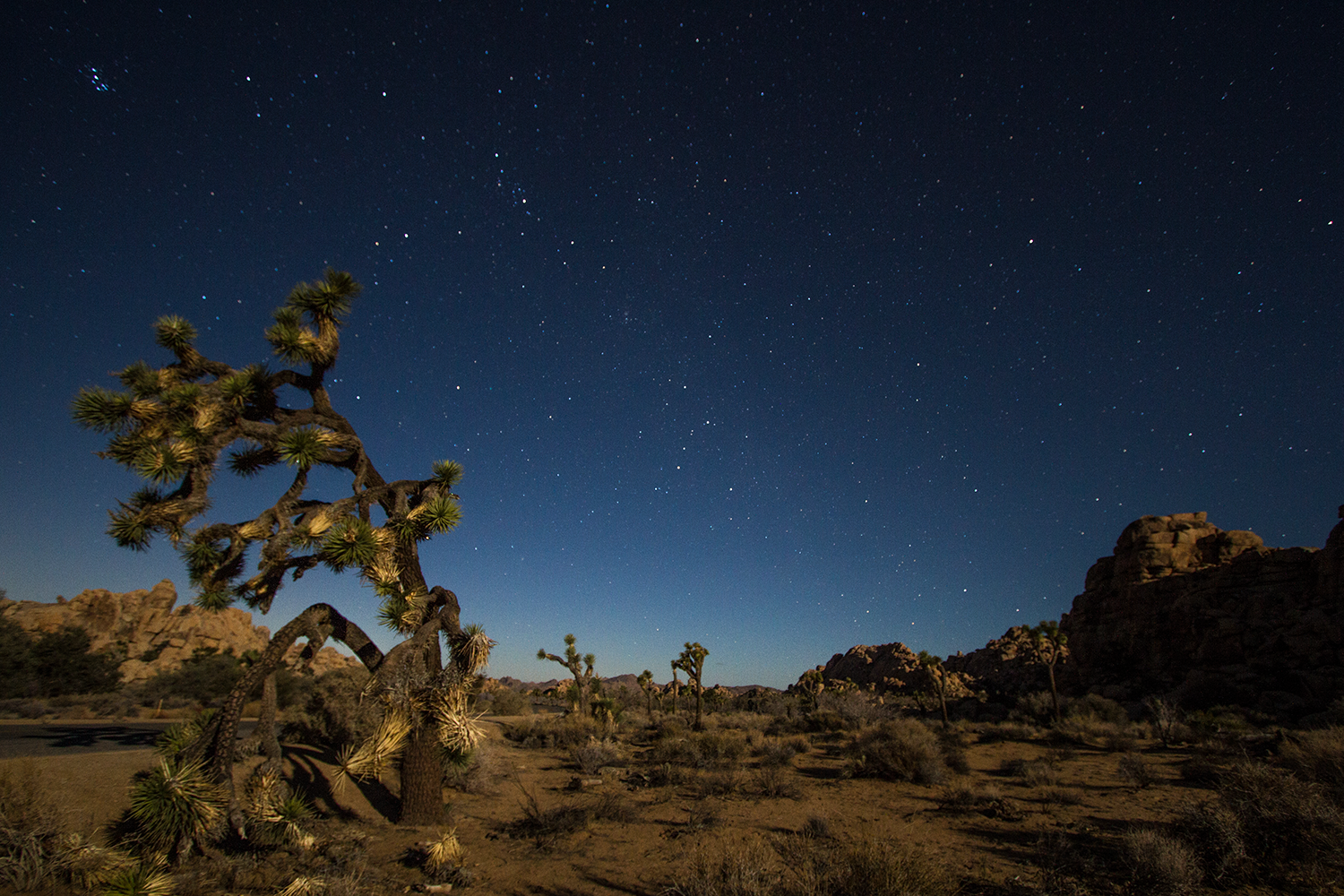 Photograph Joshua Tree's Hall of Horrors, Riverside County, California