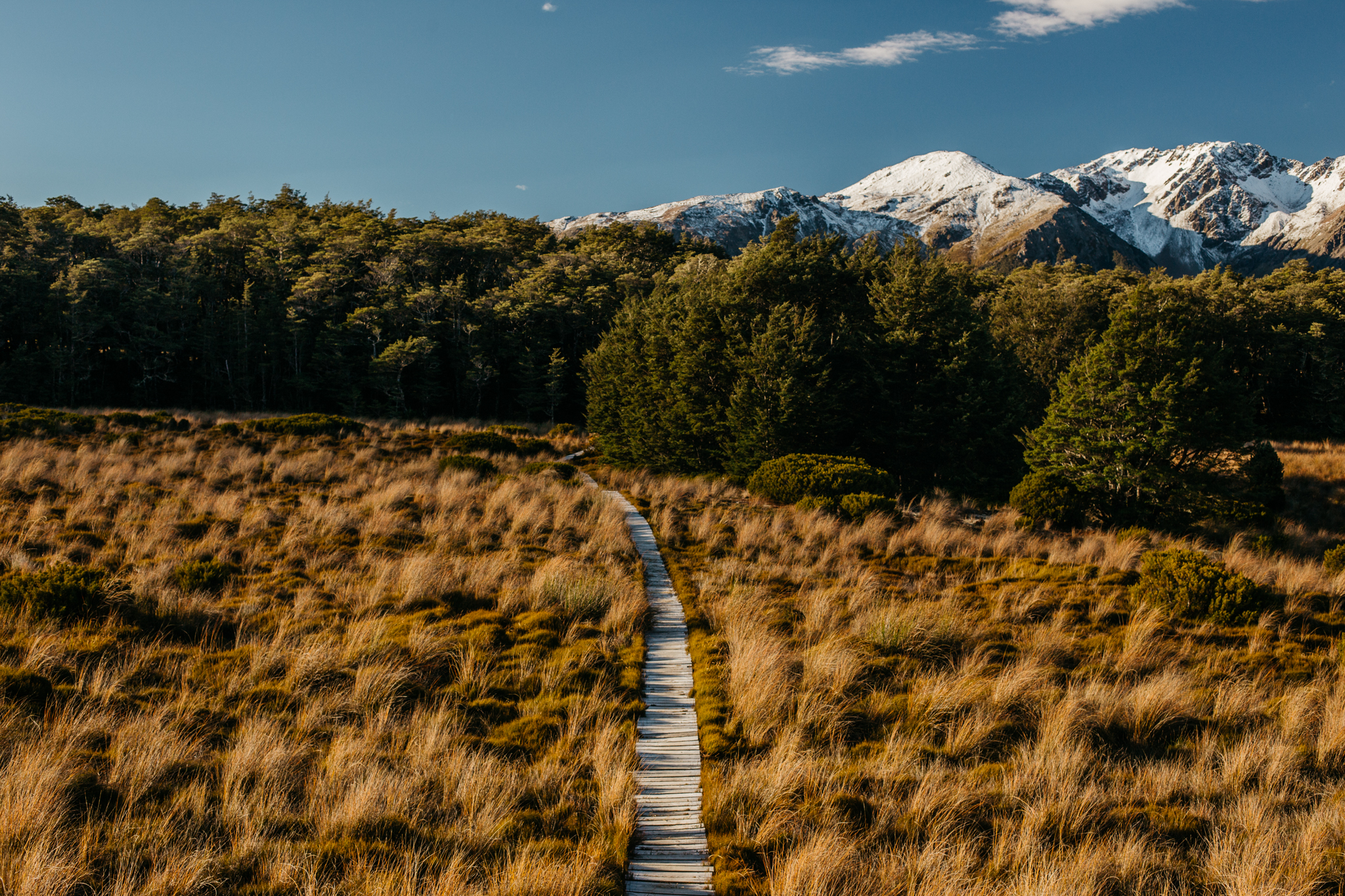 Hike Arthur's Pass' Bealey Spur 