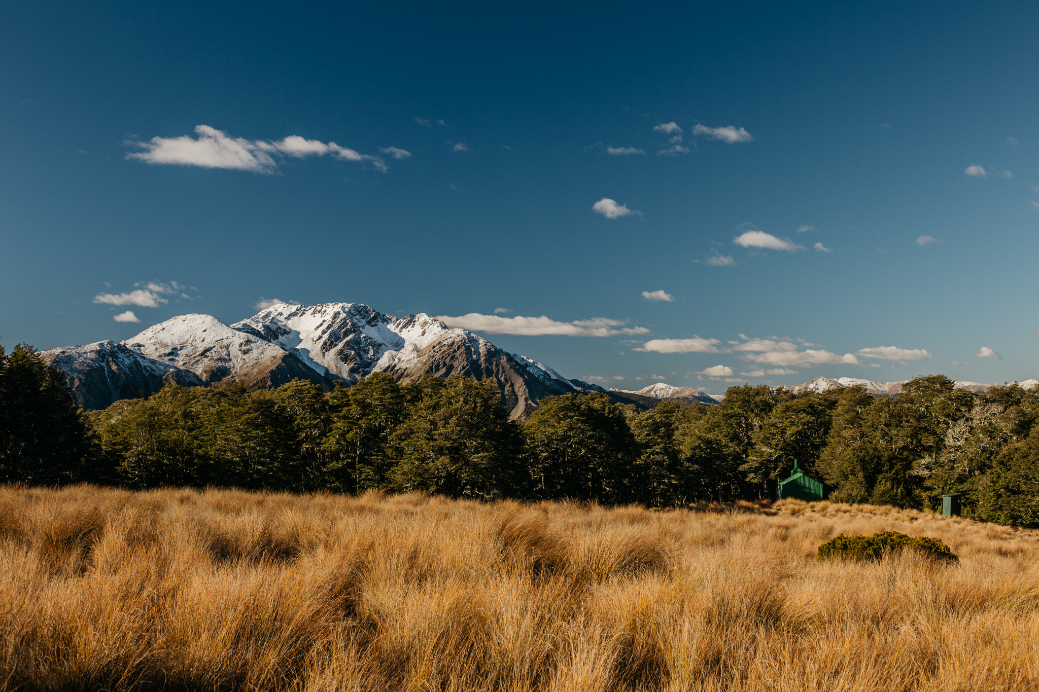 Hike Arthur's Pass' Bealey Spur 
