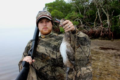 Tampa Bay Duck Hunting 