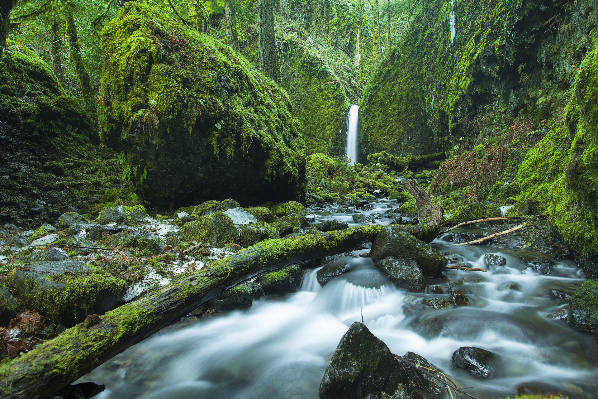 Hike to Mossy Grotto Falls