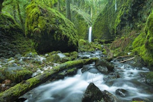 Hike to Mossy Grotto Falls