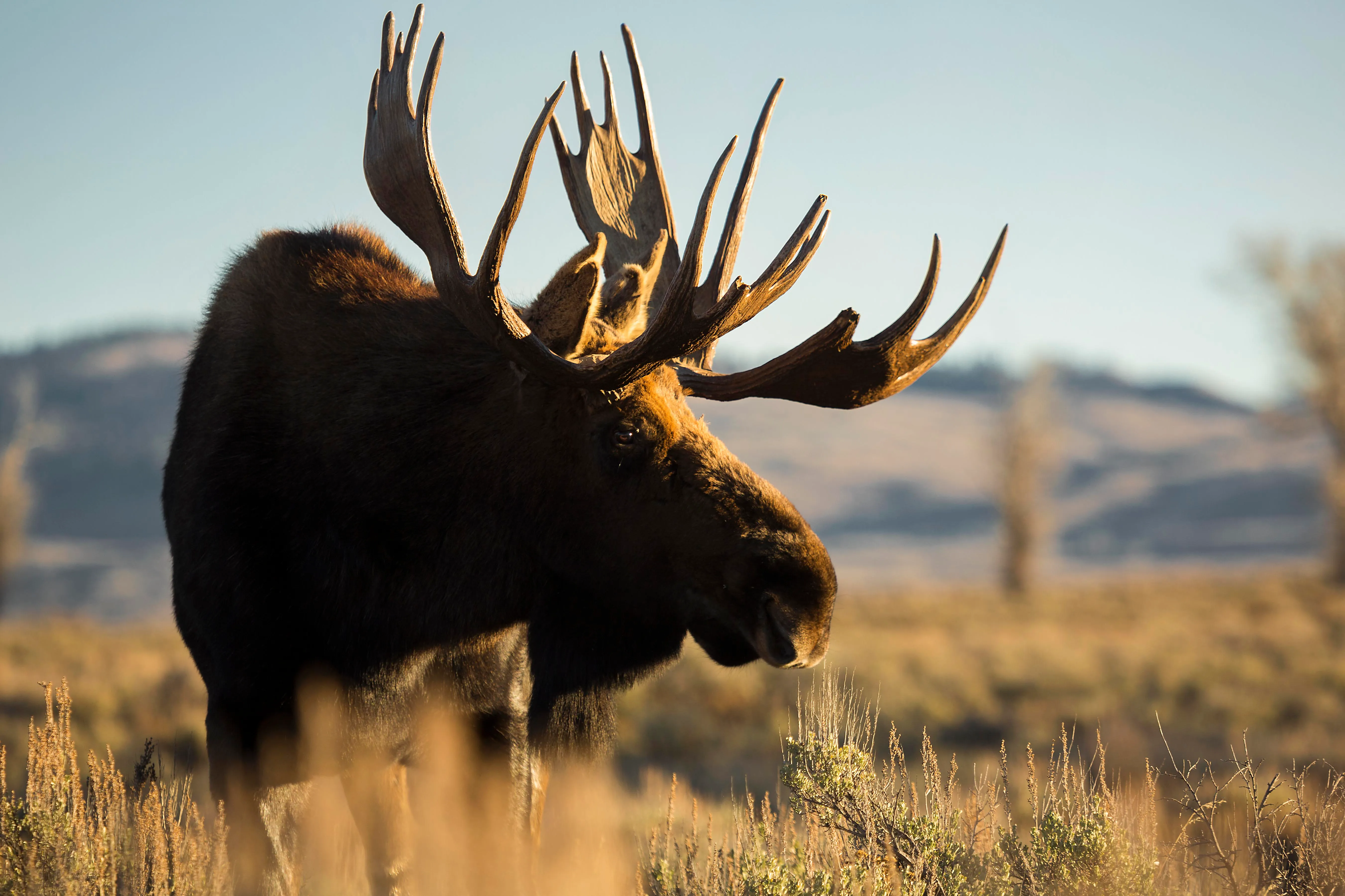 Hike along the Gros Ventre River