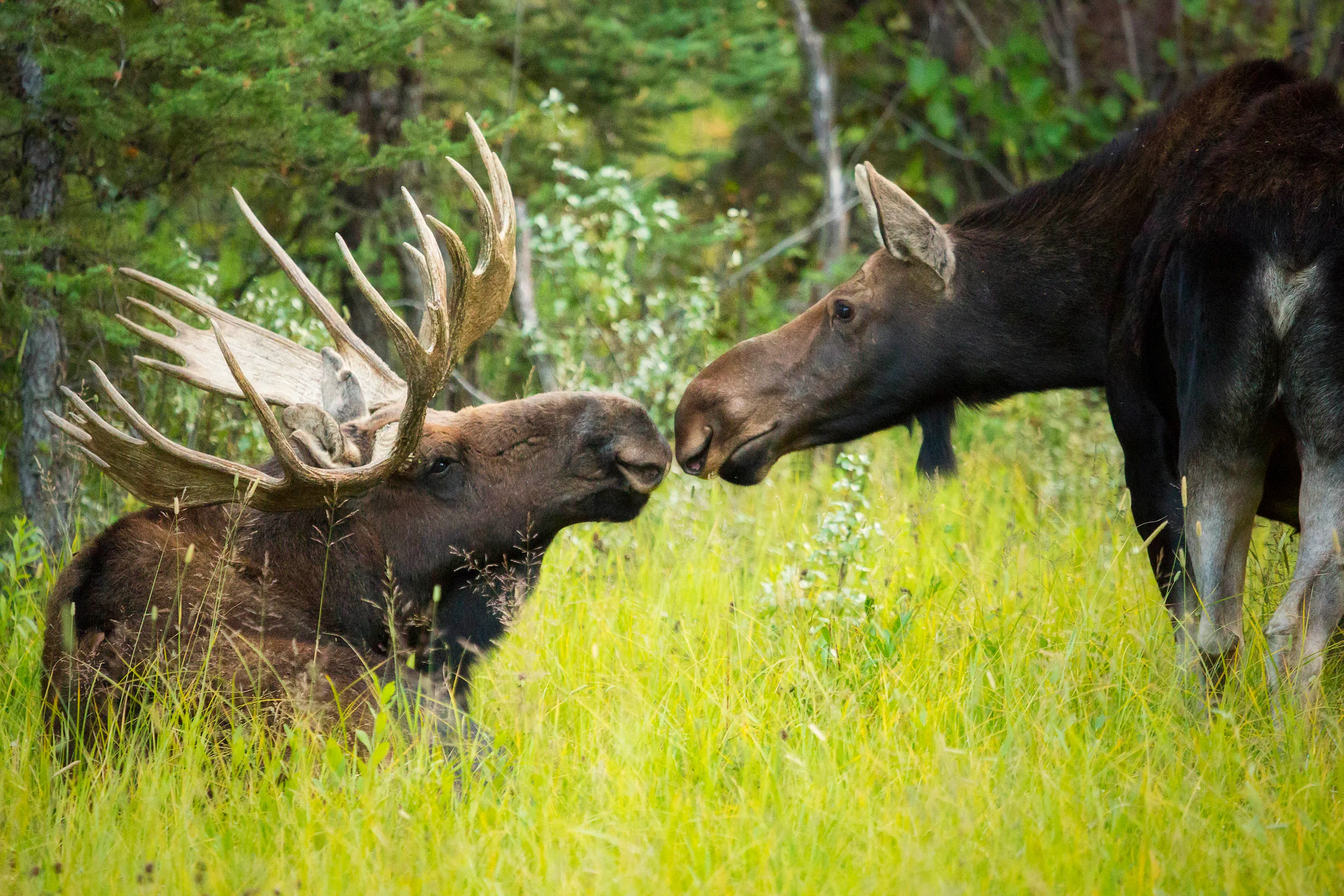 Hike along the Gros Ventre River