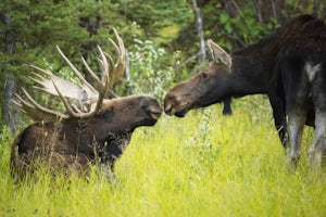 Hike along the Gros Ventre River