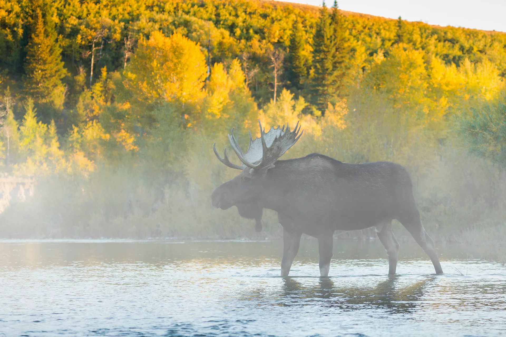 Hike along the Gros Ventre River