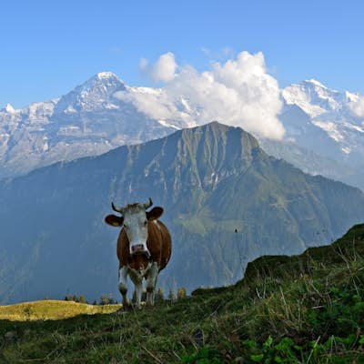 Trek in the Swiss Alps 