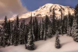Snowshoeing the Nisqually Vista Loop at Mt. Rainier NP