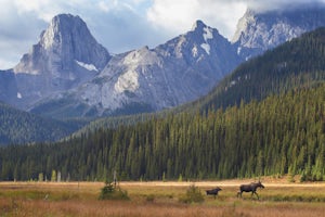 Hiking to Karst Spring in Kananaskis Country