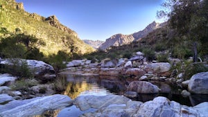 Hike the Sabino Canyon Trail