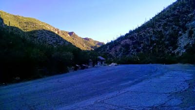 Hike the Sabino Canyon Trail