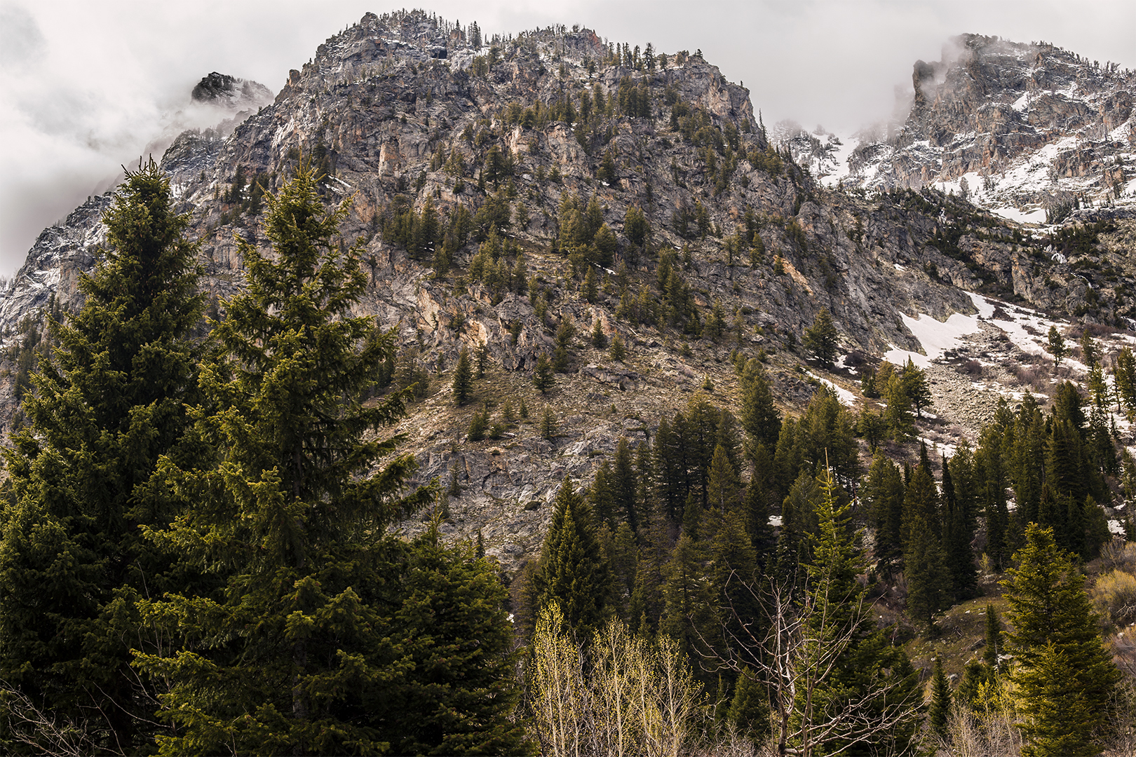 Hidden Falls & Jenny Lake Loop