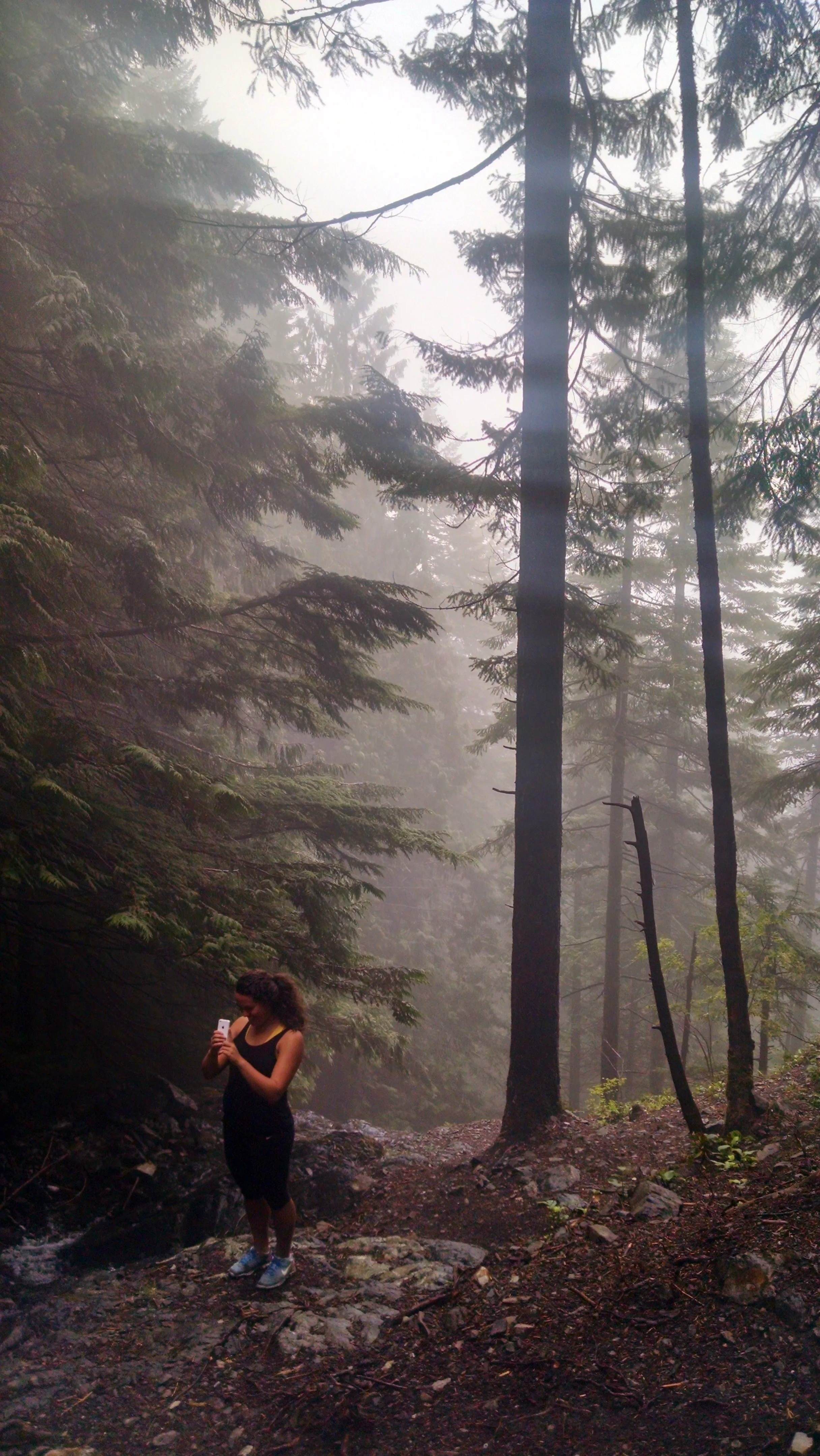 Teneriffe Falls (Kamikaze Falls)