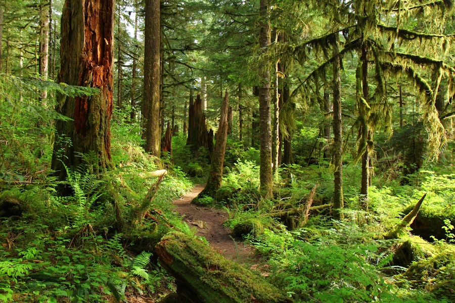 Hiking the Boulder River Trail, Washington