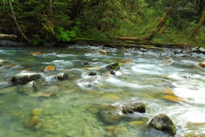 Hike the Boulder River Trail, Boulder River Trailhead, French Creek Rd.