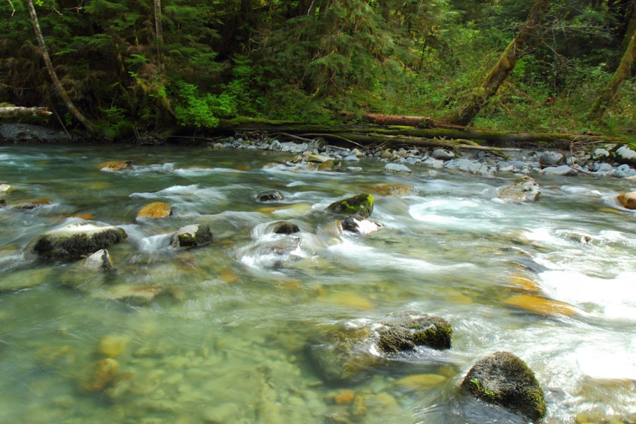 Hiking The Boulder River Trail, Washington