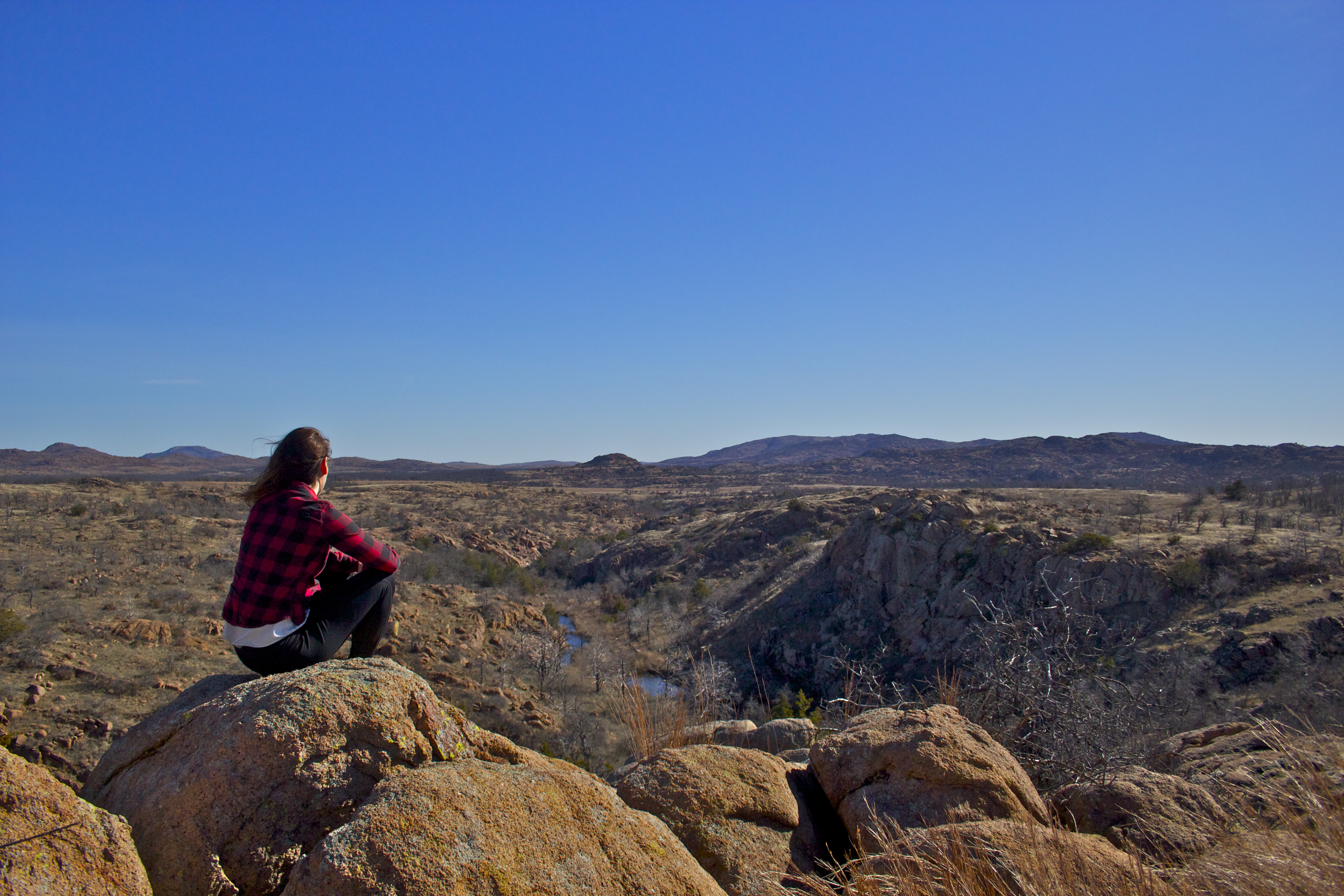 Bison Trail