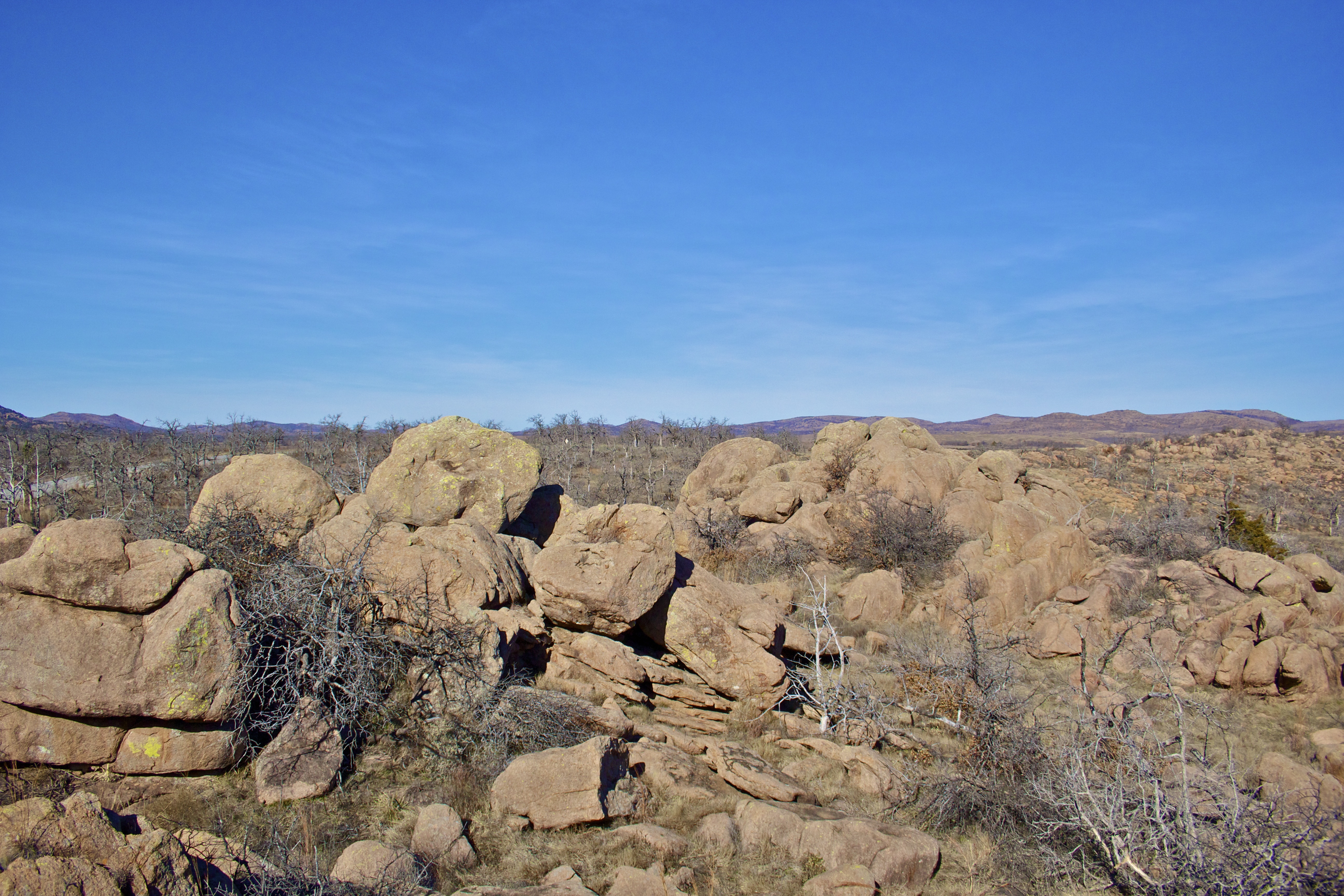 Bison Trail