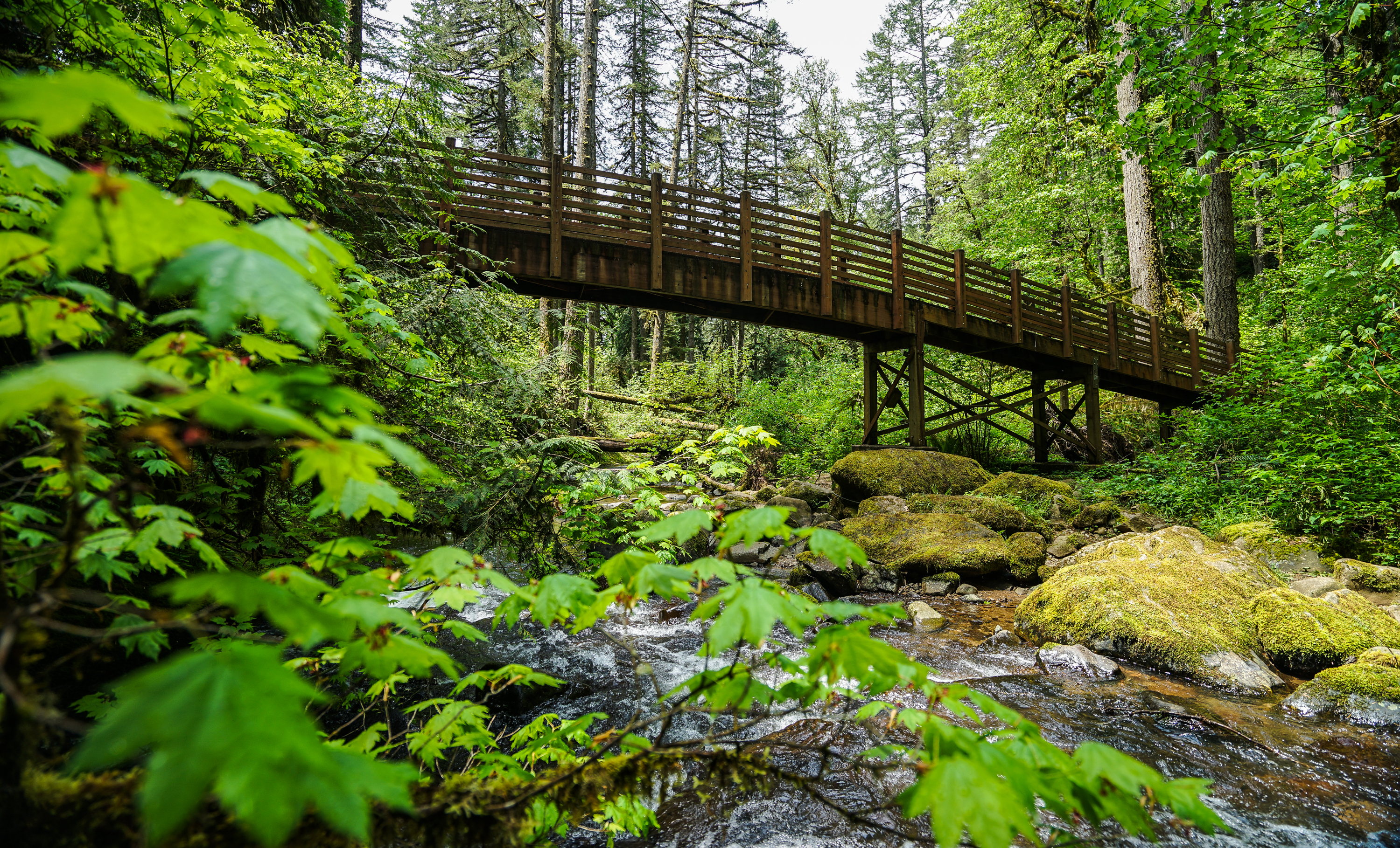 McDowell Creek County Park Loop