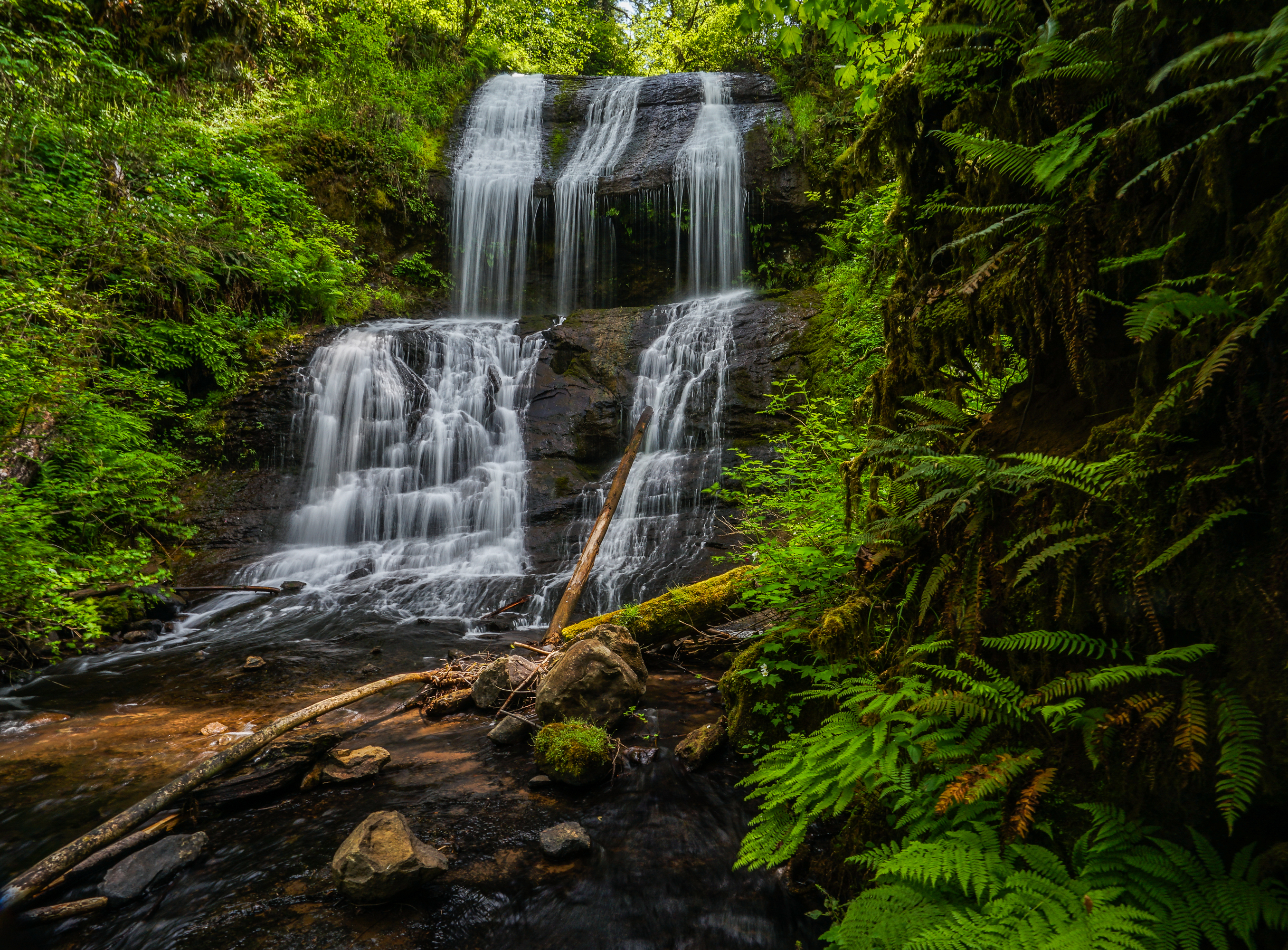 McDowell Creek County Park Loop