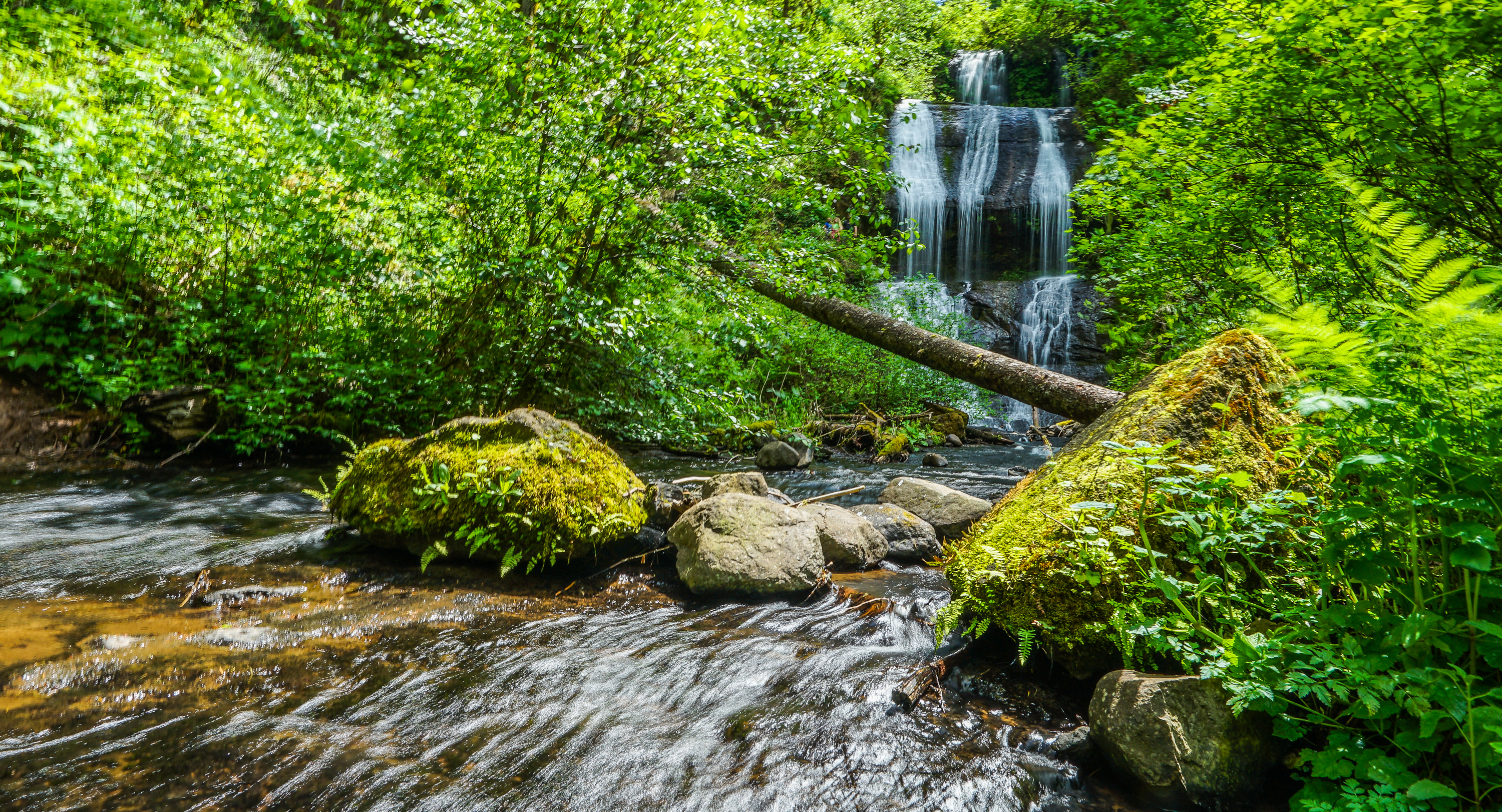 McDowell Creek County Park Loop