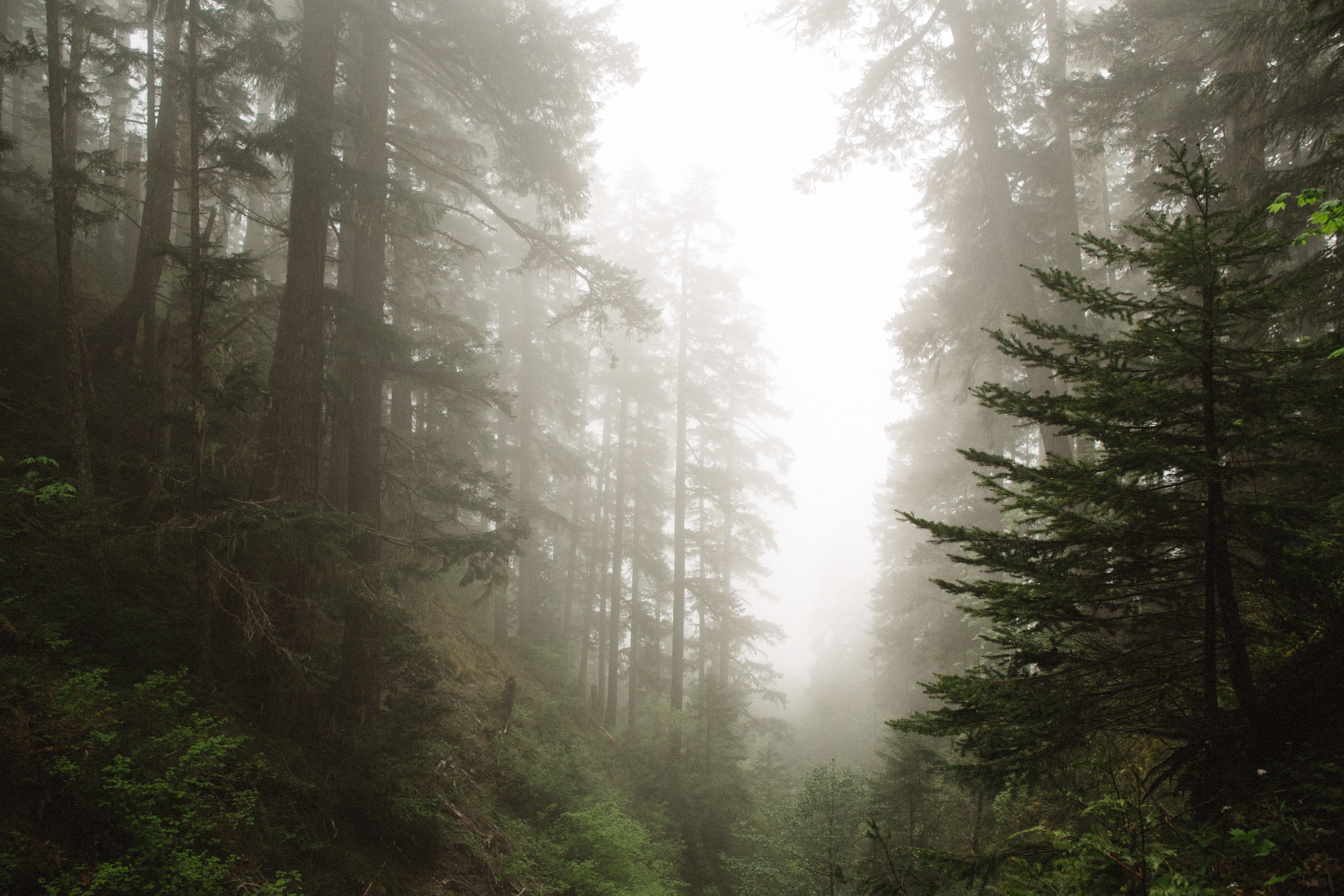 Hike to Lake of the Angels