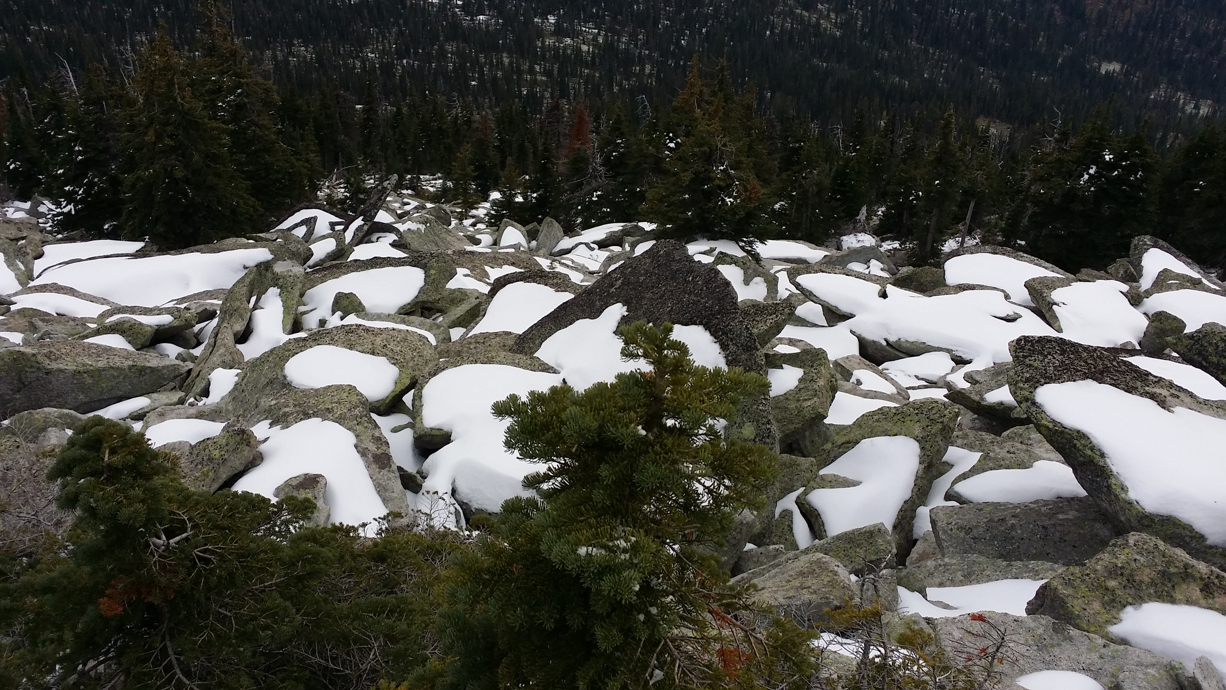 Two Mouth Lakes