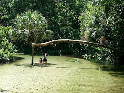 Kayaking at King's Landing - Apopka,FL