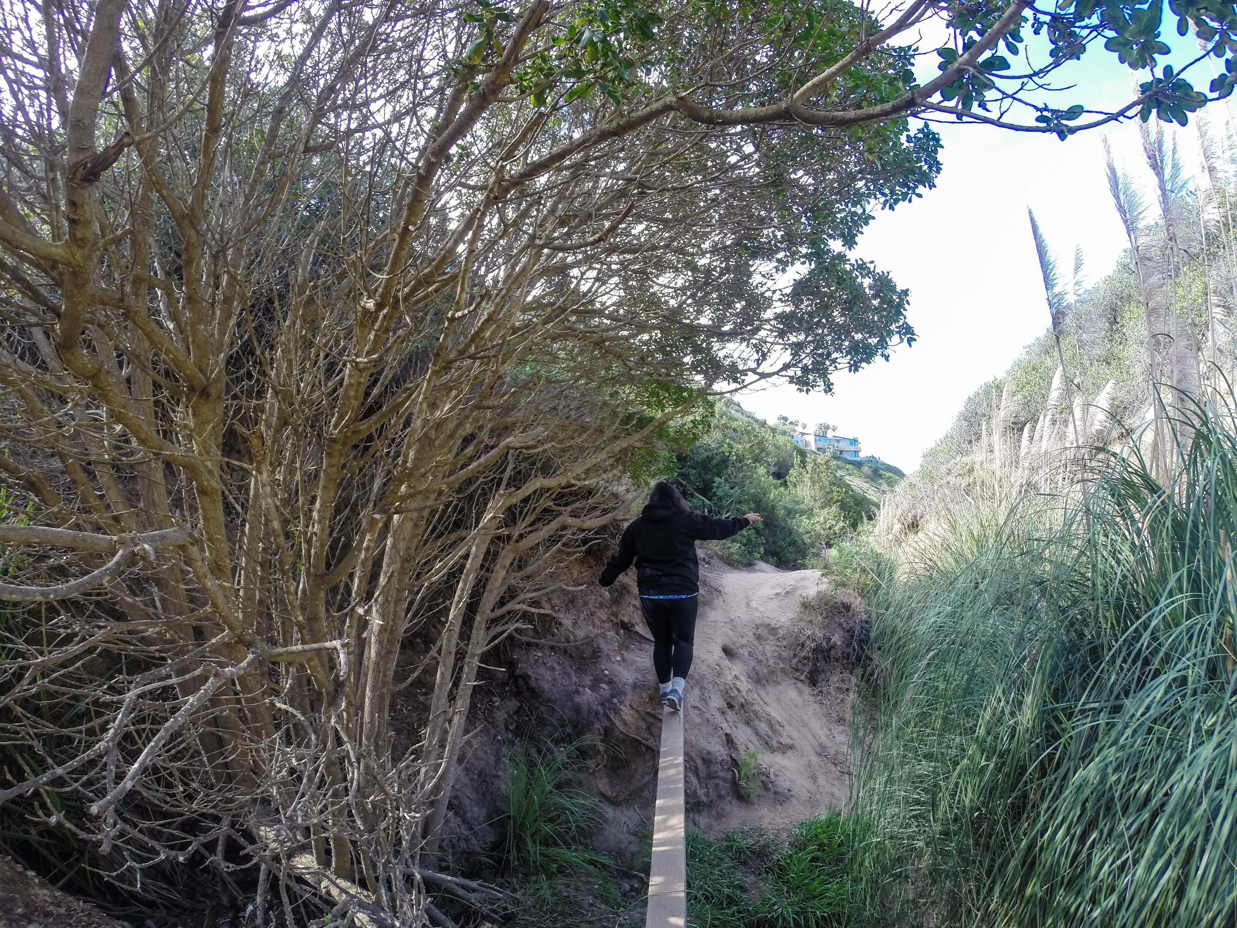Hiking La Jolla's Ho Chi Minh Trail 