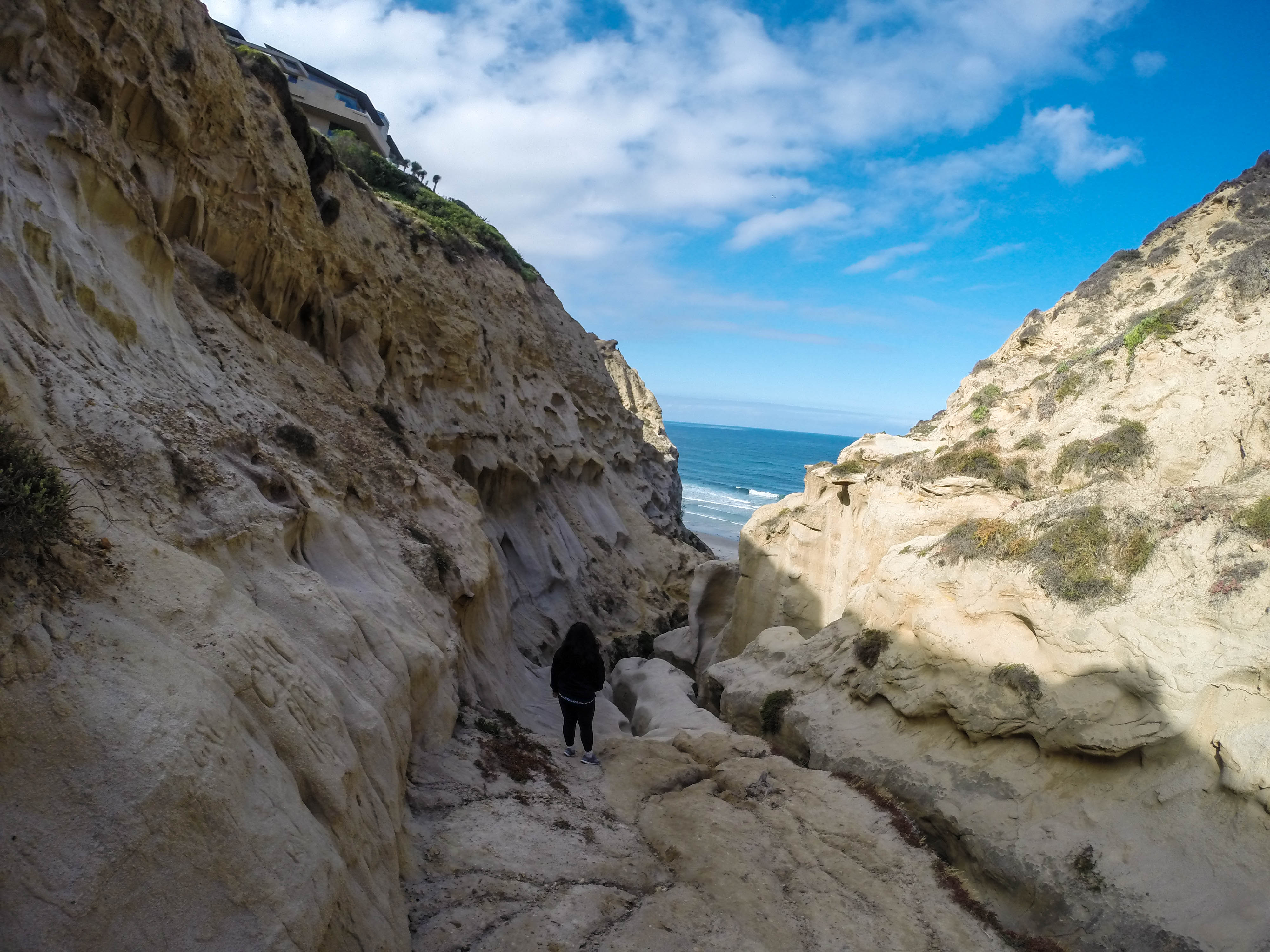 Hiking La Jolla's Ho Chi Minh Trail 