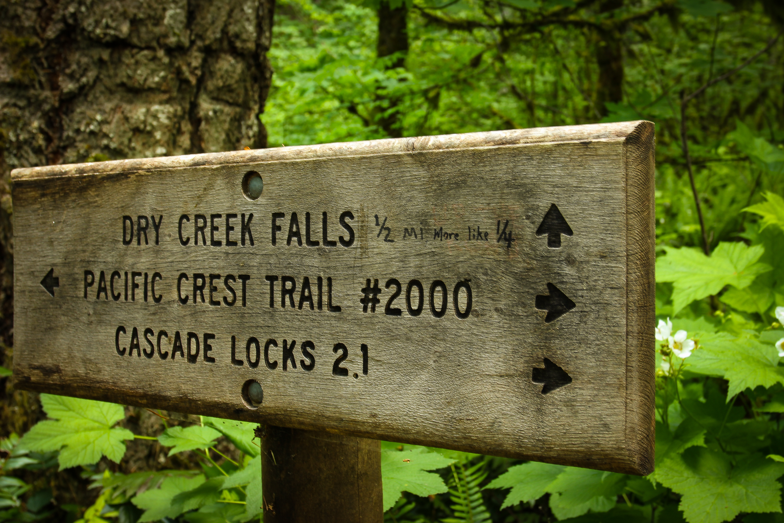 Dry Creek Falls via PCT