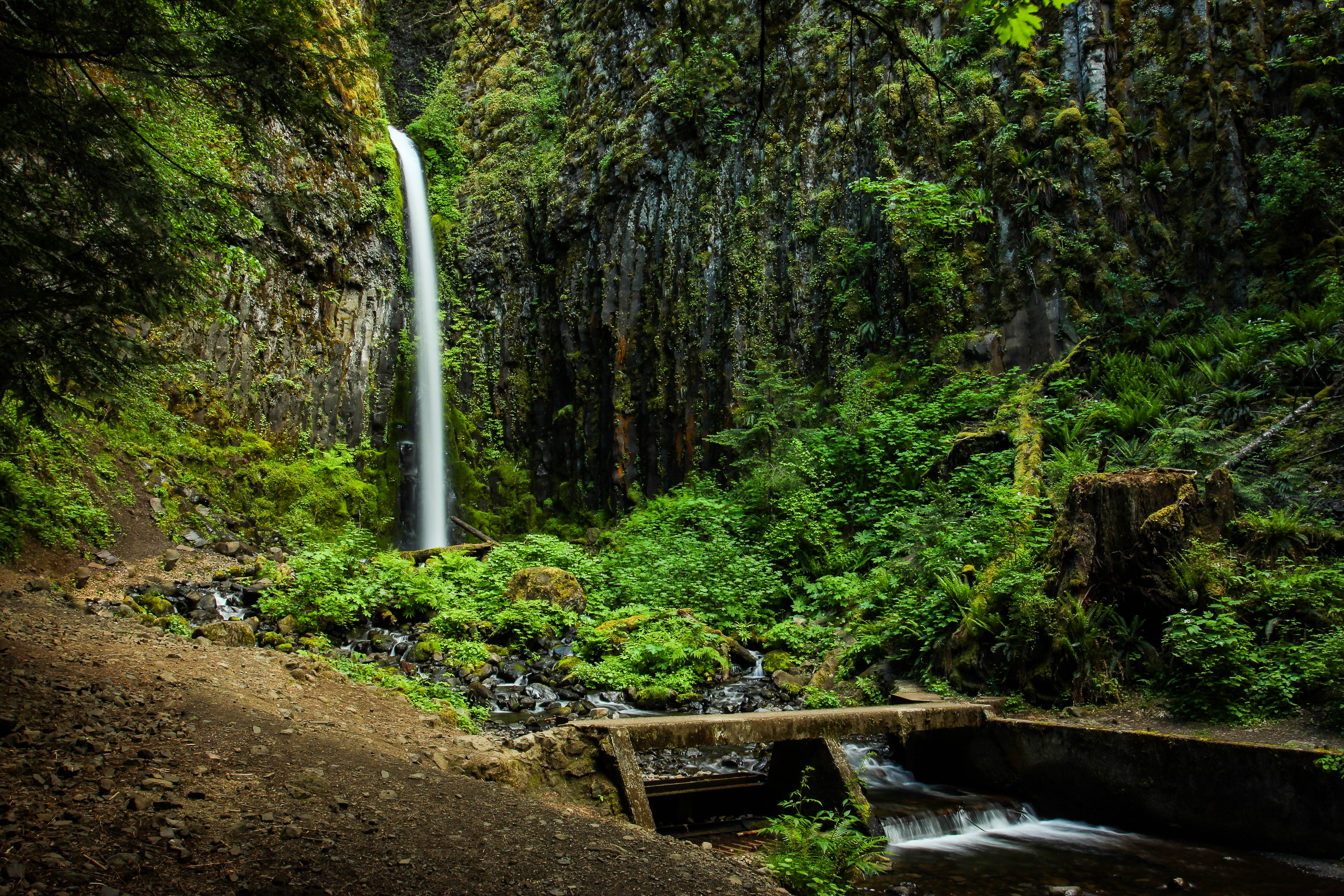 Dry Creek Falls via PCT