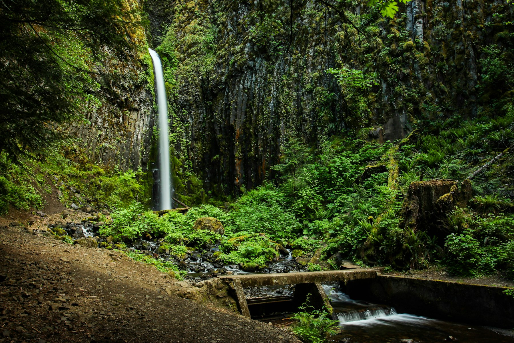 Dry Creek Falls Hike - Hiking in Portland, Oregon and Washington