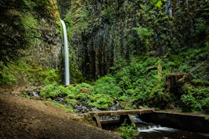 Dry Creek Falls via PCT