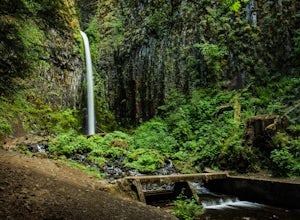 Hike to the Dry Creek Falls