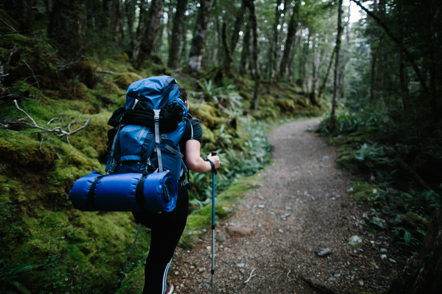 Kepler Track