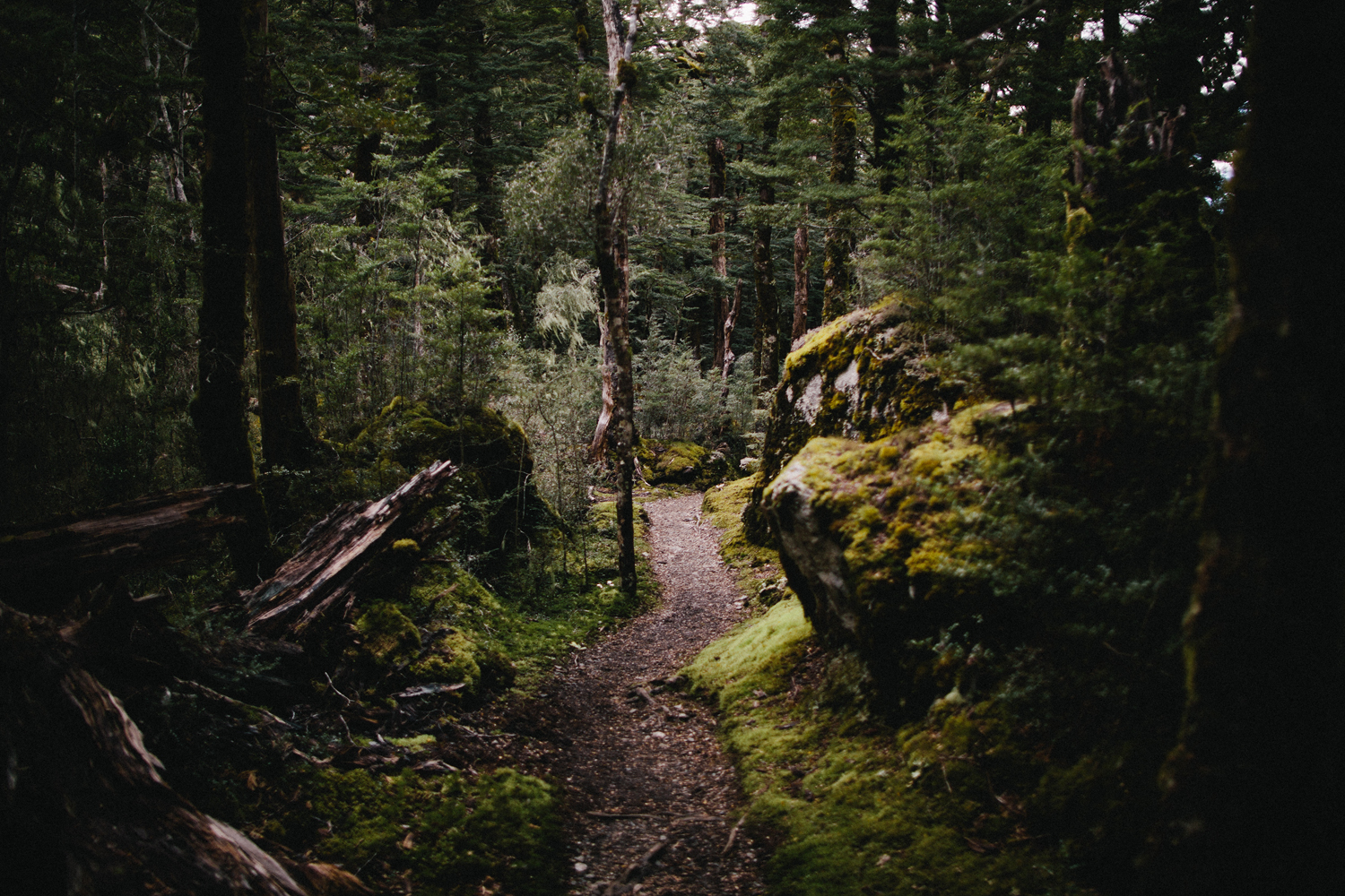 Kepler Track