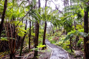 Hike The Kilauea Iki Trail 