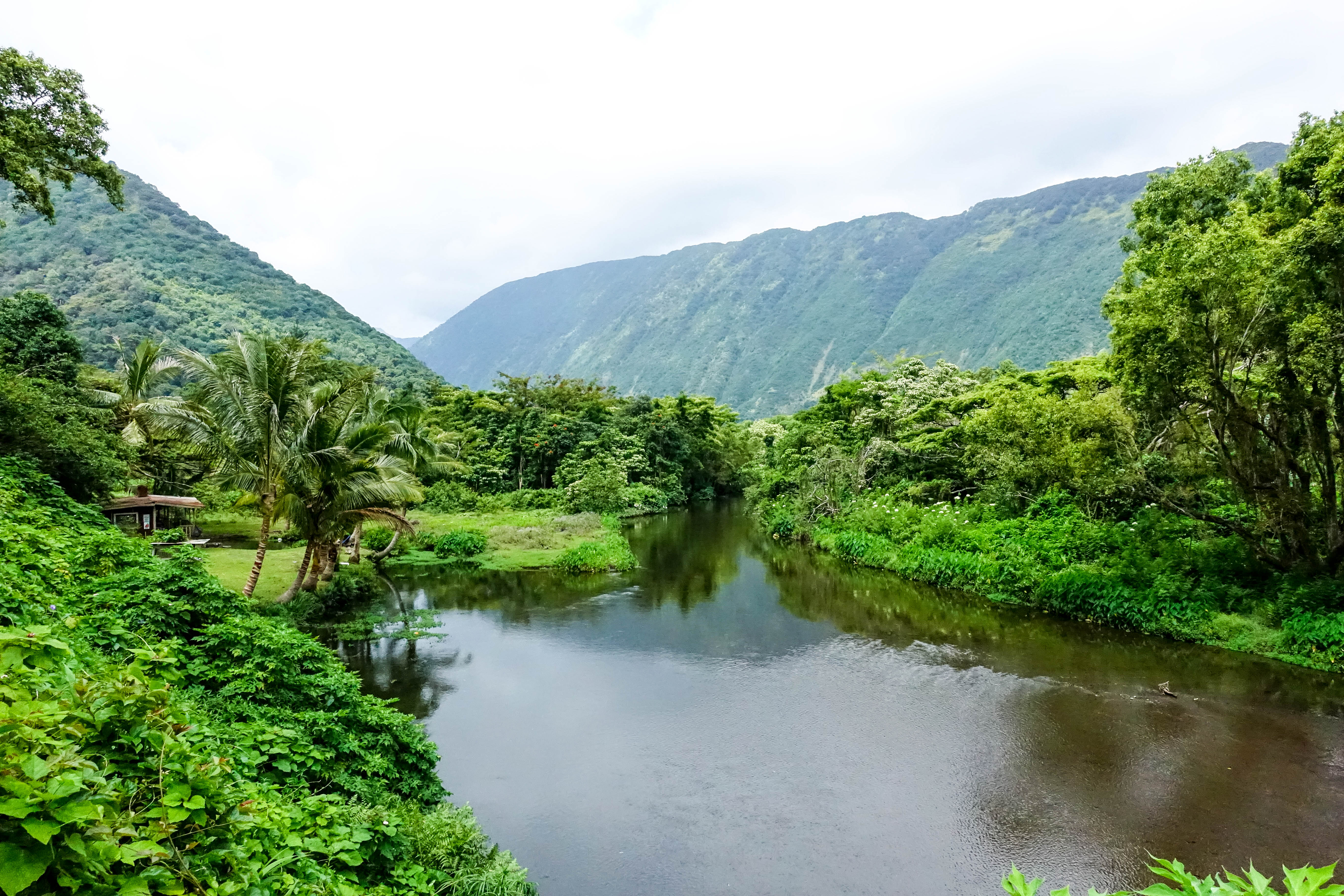 Explore Waipi'o Valley