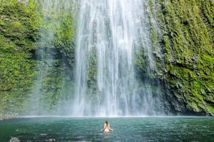 Explore Waipi'o Valley