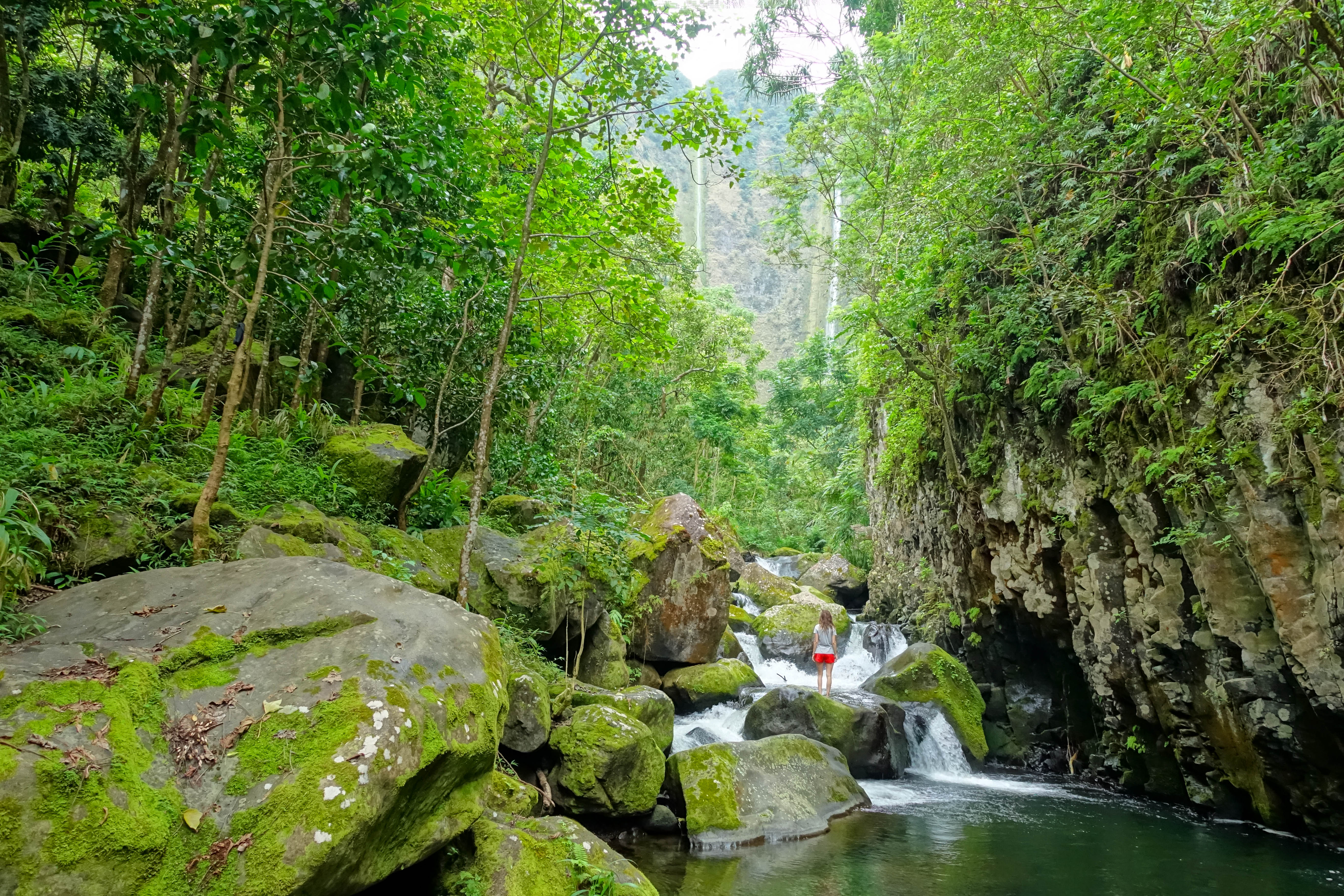 Explore Waipi'o Valley
