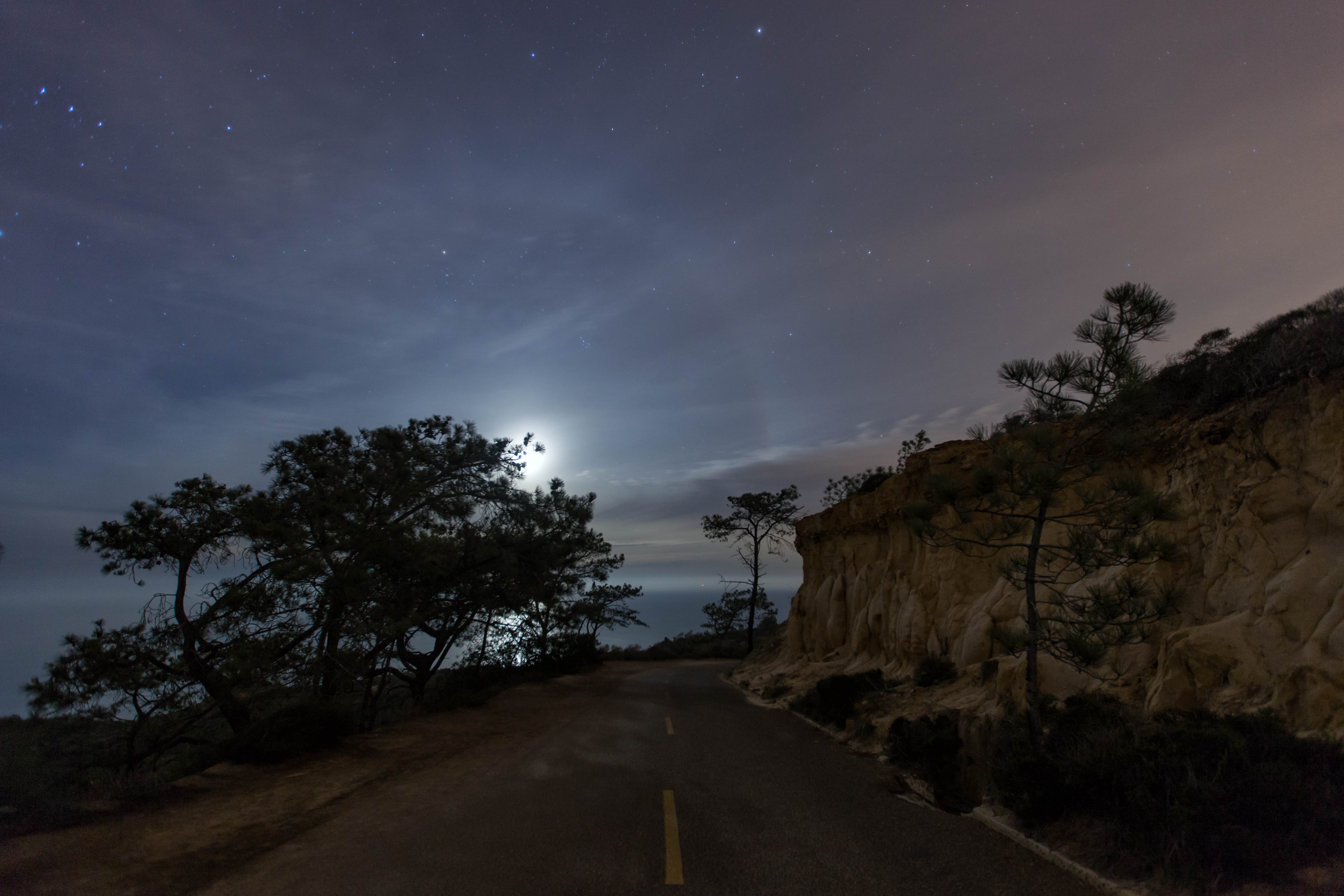Hiking the Torrey Pines Broken Hill Trail
