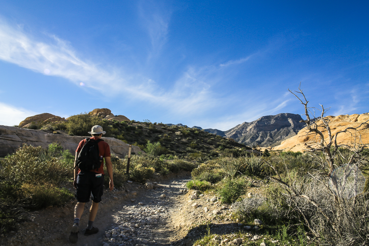 A Hike Through Calico Tanks Trails