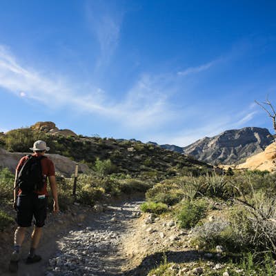A Hike Through Calico Tanks Trails