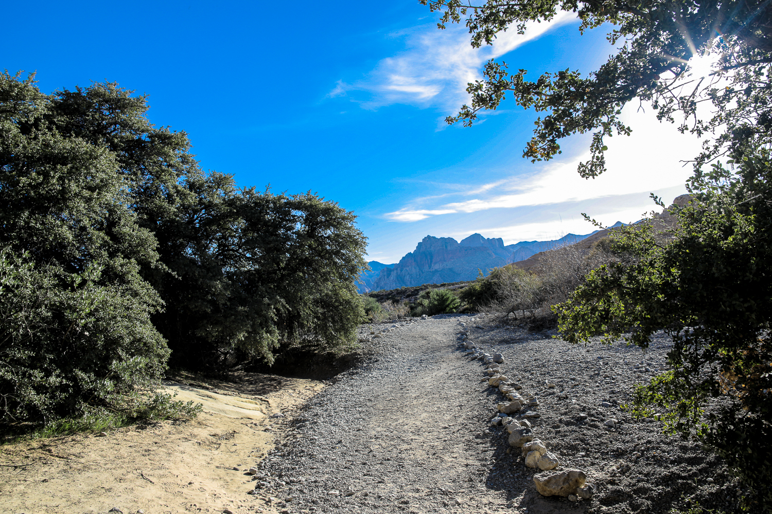 A Hike Through Calico Tanks Trails