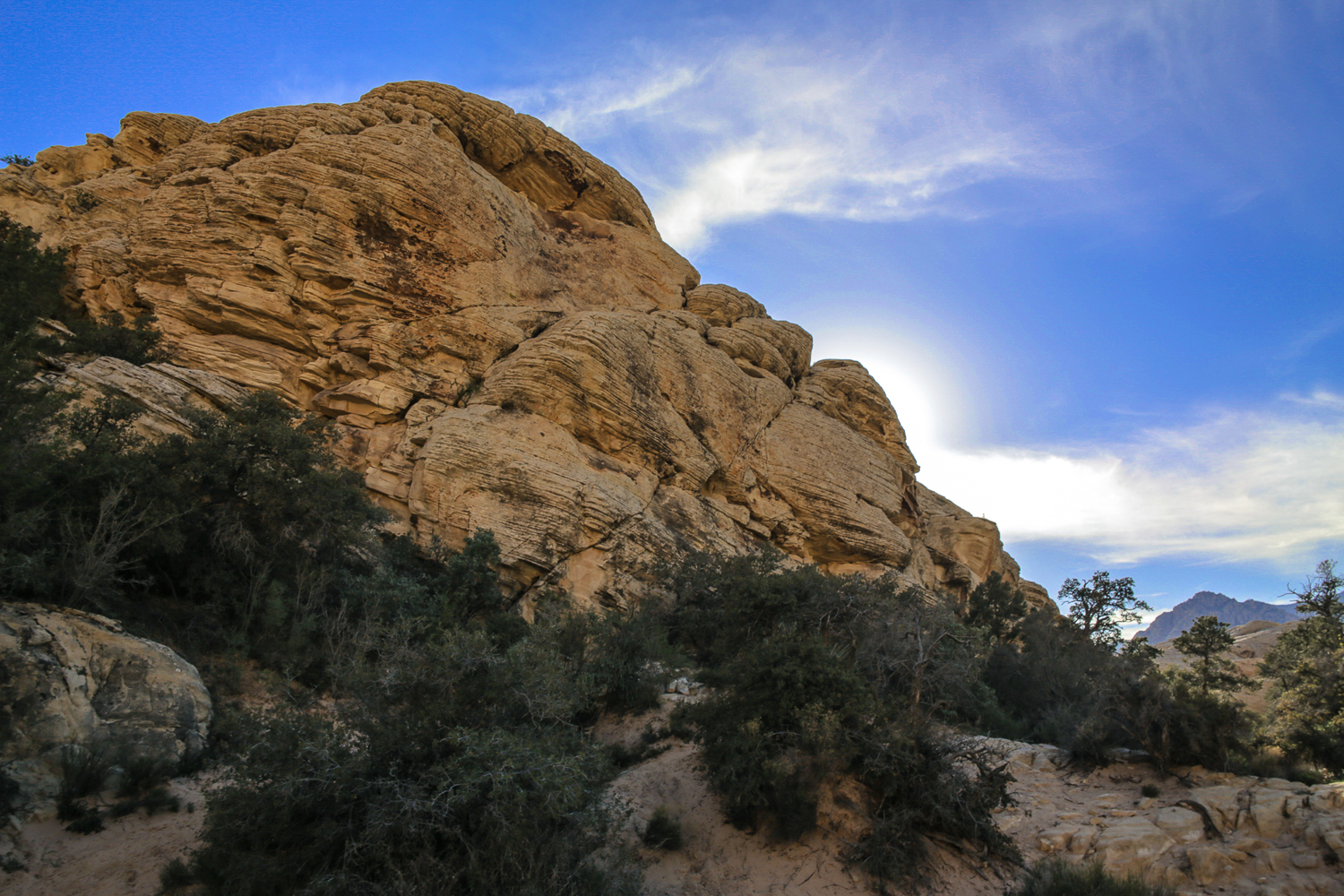 A Hike Through Calico Tanks Trails