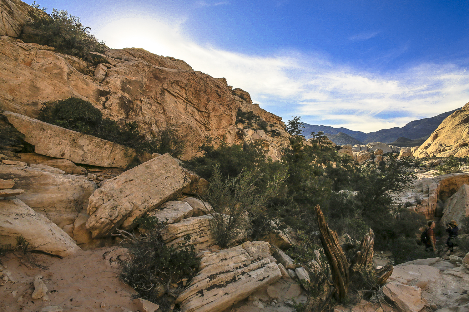 A Hike Through Calico Tanks Trails