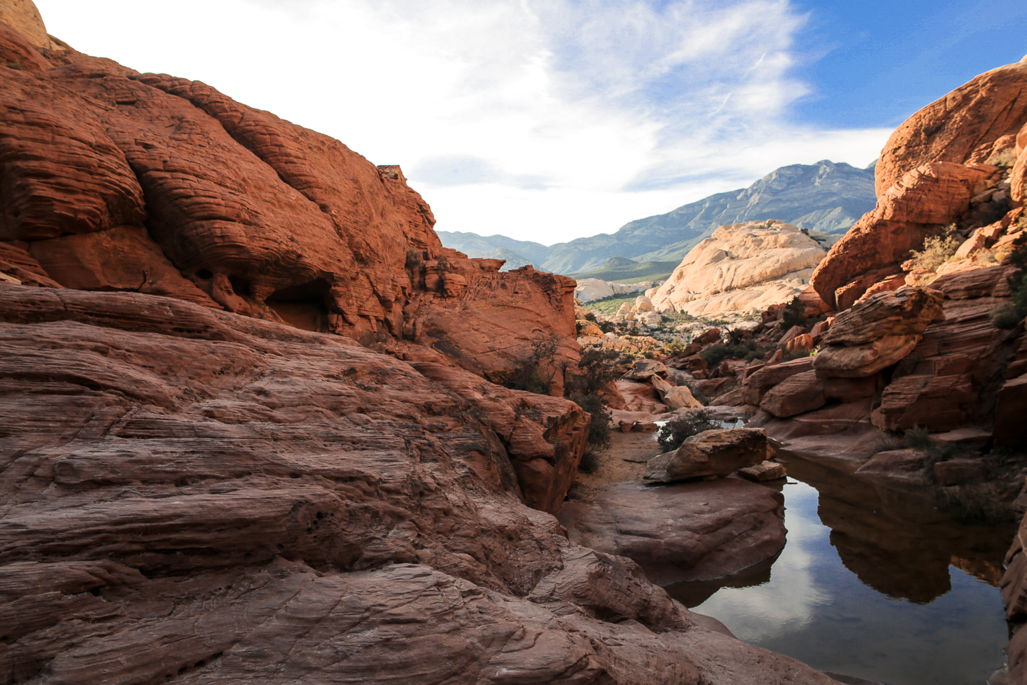 A Hike Through Calico Tanks Trails
