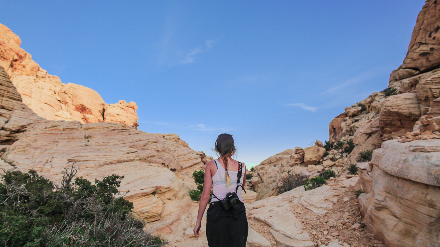 A Hike Through Calico Tanks Trails