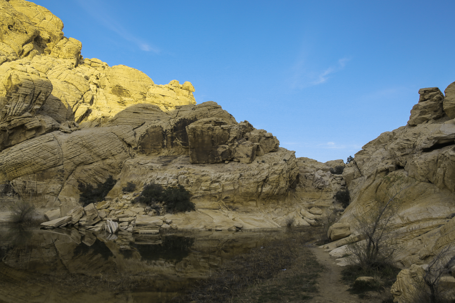 A Hike Through Calico Tanks Trails